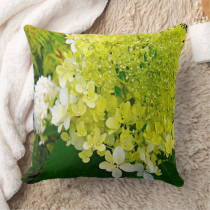 Elegant Chartreuse Green Limelight Hydrangea Cushion