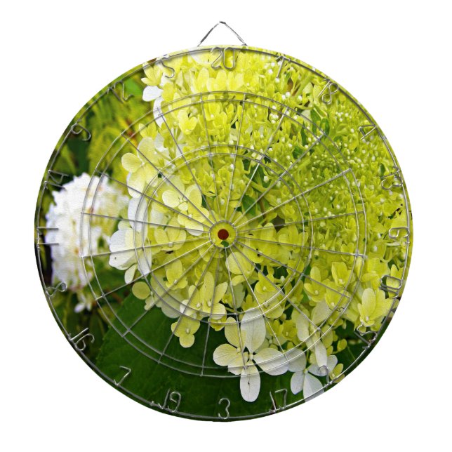 Elegant Chartreuse Green Limelight Hydrangea Dartboard (Front)
