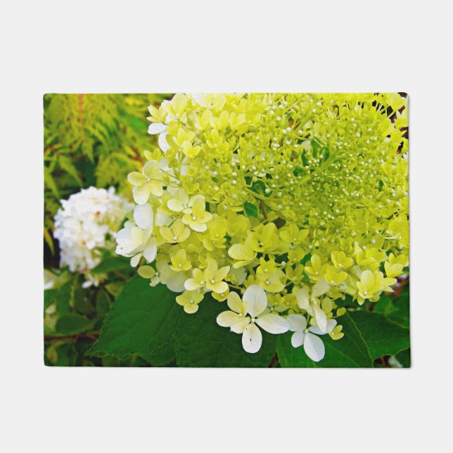 Elegant Chartreuse Green Limelight Hydrangea Doormat (Front)