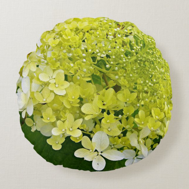 Elegant Chartreuse Green Limelight Hydrangea Round Cushion (Front)