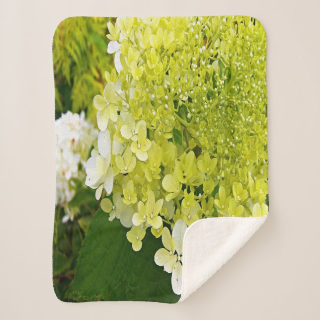 Elegant Chartreuse Green Limelight Hydrangea Sherpa Blanket (Front)