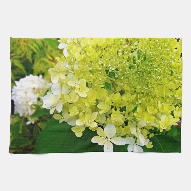 Elegant Chartreuse Green Limelight Hydrangea Tea Towel (Horizontal)