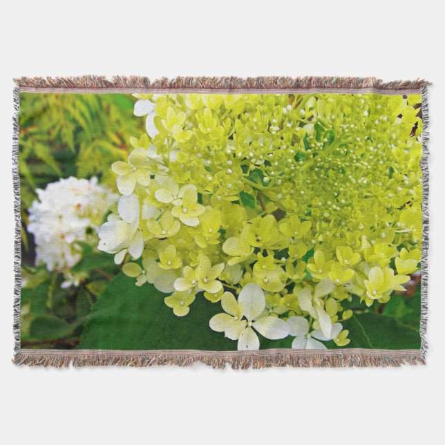 Elegant Chartreuse Green Limelight Hydrangea Throw Blanket (Front)