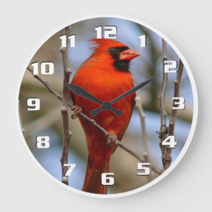 Elegant Christmas bird Red cardinal Beautiful Large Clock