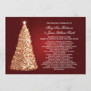 Elegant Christmas Wedding Program Gold Red