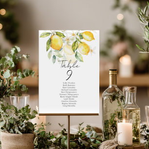 Elegant citrus table number seating chart cards