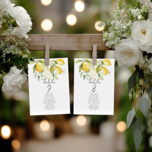 Elegant citrus table number seating chart cards