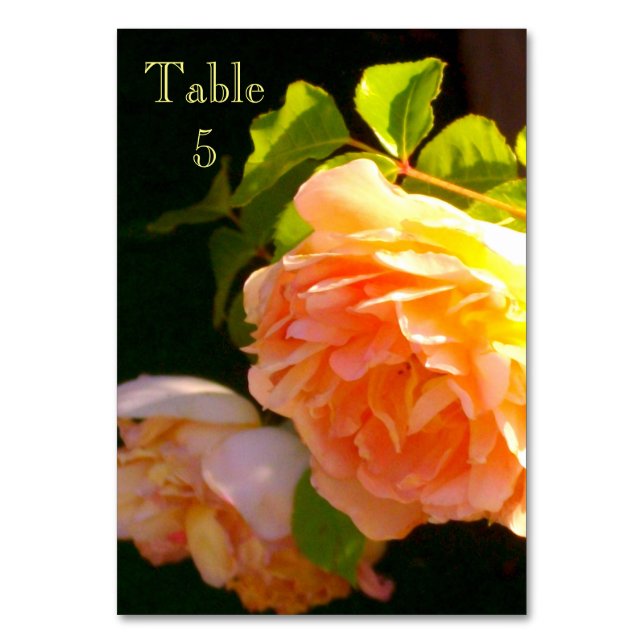 Elegant classic orange peach roses floral table number (Front)