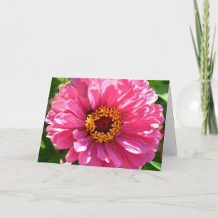 Elegant classic pink floral flower mum daisy card