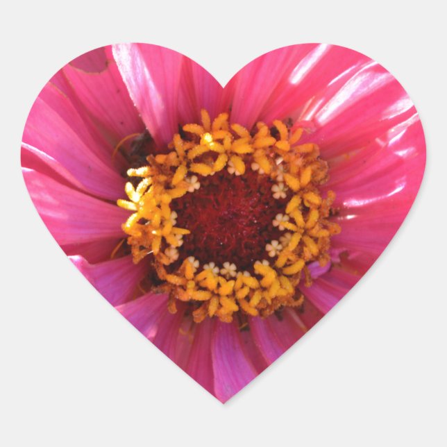 Elegant classic pink floral flower mum daisy heart sticker (Front)