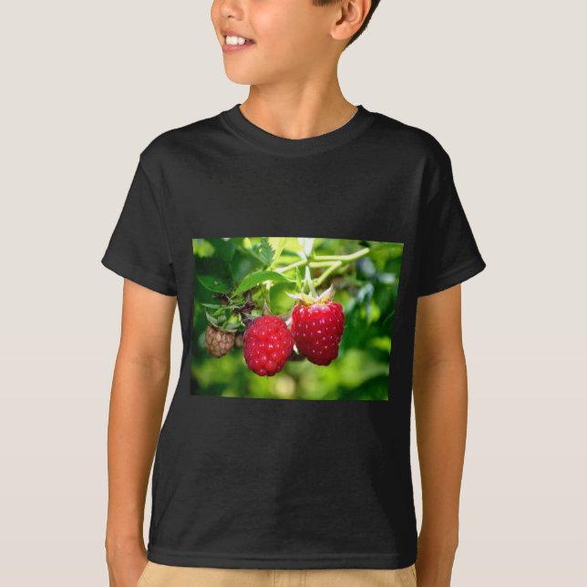 Elegant classic red Raspberries T-Shirt (Front)