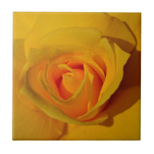Elegant classic yellow orange rose ceramic tile