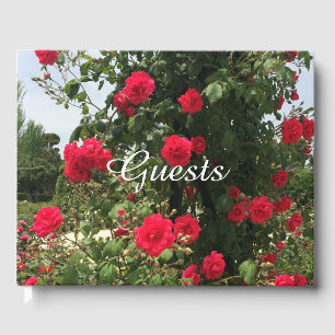 Elegant Climbing Red Roses Guest Book