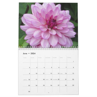 Elegant Colourful Dahlias Botanical Calendar
