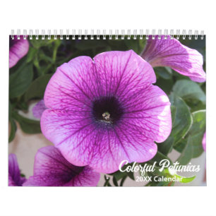 Elegant Colourful Petunias Botanical Calendar