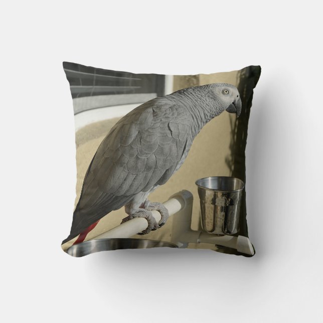 Elegant Congo African Grey Parrot on Stand Cushion (Front)
