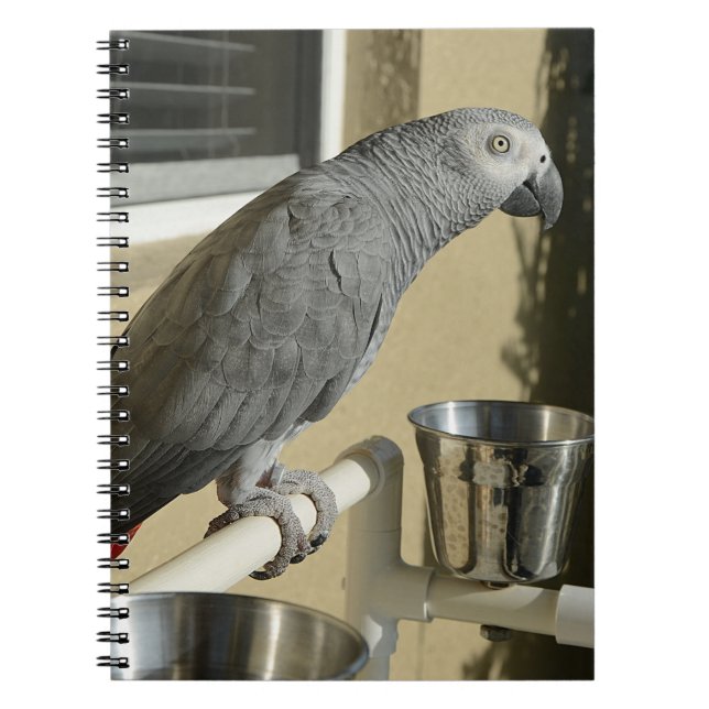Elegant Congo African Grey Parrot on Stand Notebook (Front)