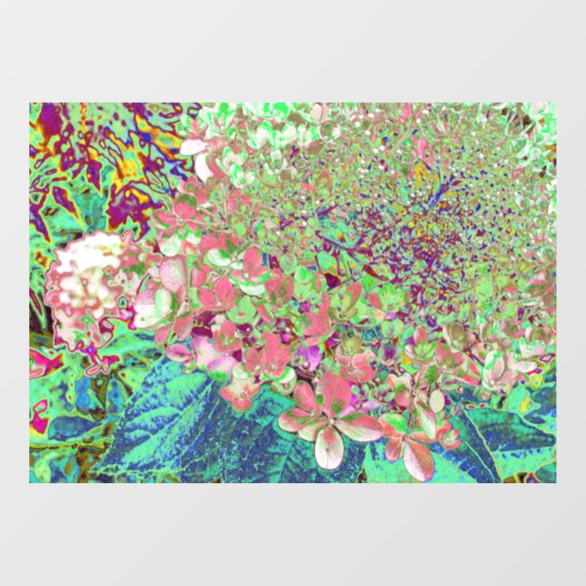 Elegant Coral and Chartreuse Limelight Hydrangea (Sheet)
