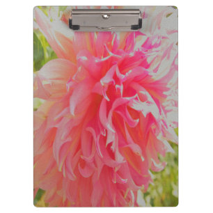 Elegant Coral and Pink Decorative Dahlia Clipboard