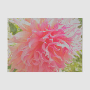 Elegant Coral and Pink Decorative Dahlia Tissue Paper