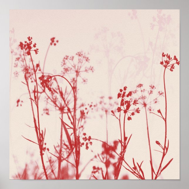 Elegant Coral Red Floral Abstract Poster (Front)
