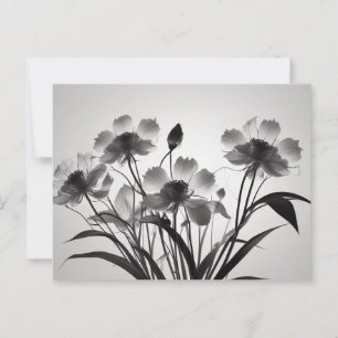 Elegant Cosmos Flowers in Bloom Postcard