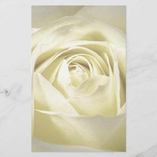 Elegant Cream Rose Stationery (Front)