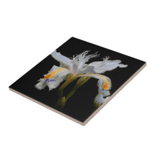 Elegant Crested Iris Japonica Ceramic Tile