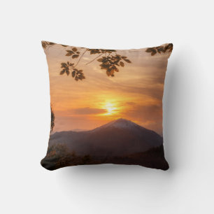 elegant cushion