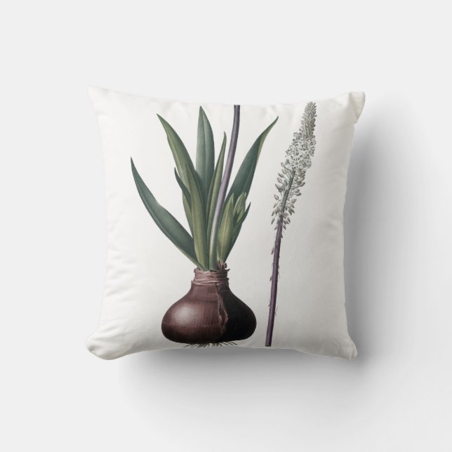 Elegant cushion with rare botanical illustrations (Front)
