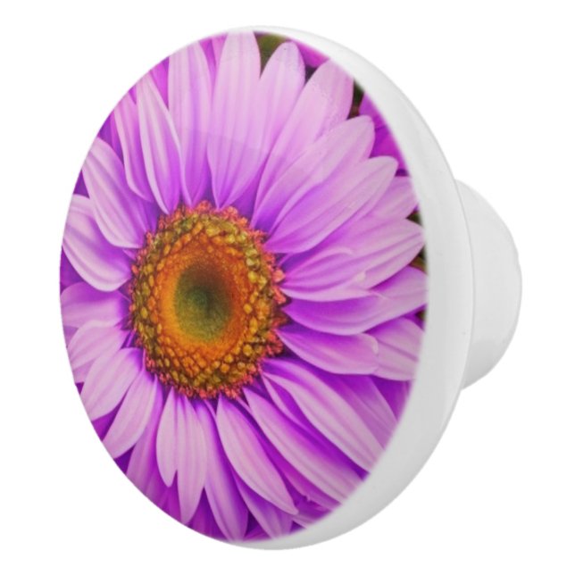 Elegant dark pink magenta floral daisies ceramic knob (Right)