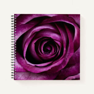 Elegant Dark Purple Rose Notebook