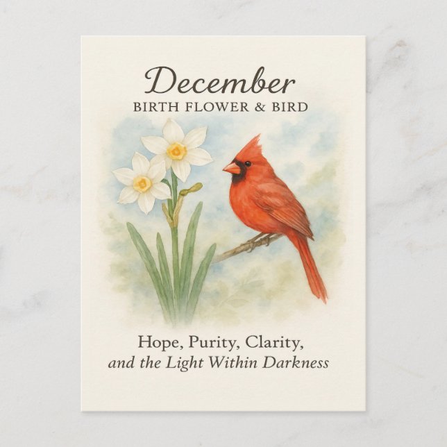 Elegant December Scripture Christian Cardinal  Postcard (Front)