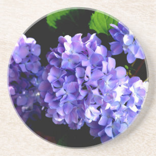 Elegant deep purple floral flowers hydrangea coaster
