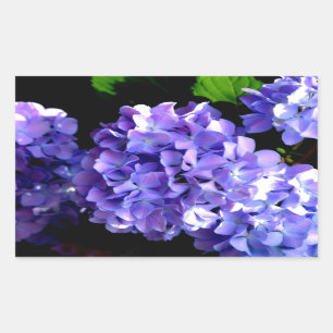 Elegant deep purple florals periwinkle hydrangeas rectangular sticker