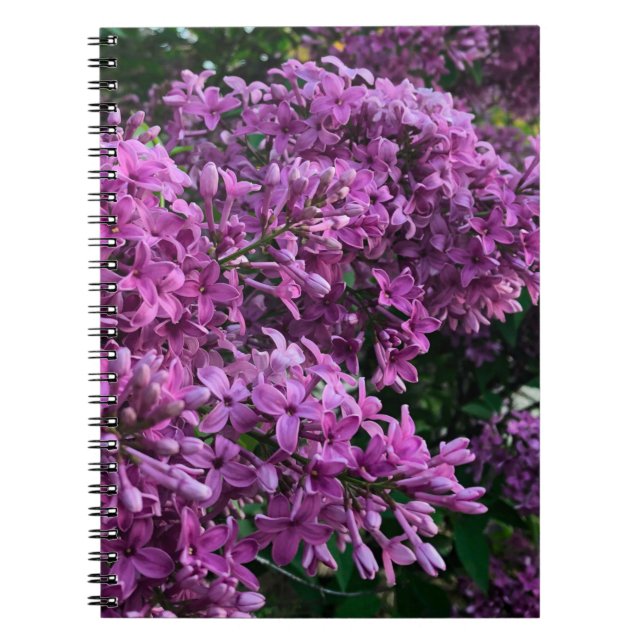 Elegant deep purple magenta florals flowers lilacs notebook (Front)