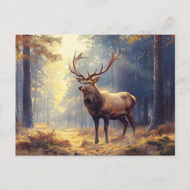 Elegant Deer Stag in the Forest Postcard (Front)