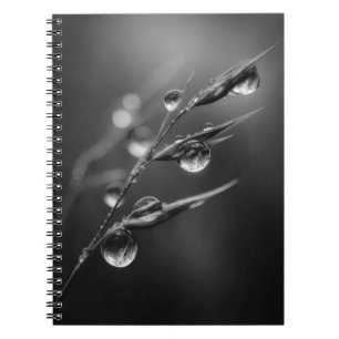 Elegant Dewdrops Black White Nature Notebook