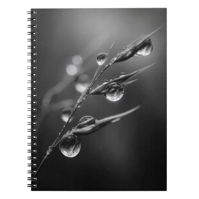 Elegant Dewdrops Black White Nature Notebook (Front)