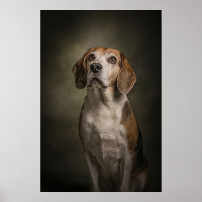 Elegant Dog Silhouette Poster (Front)