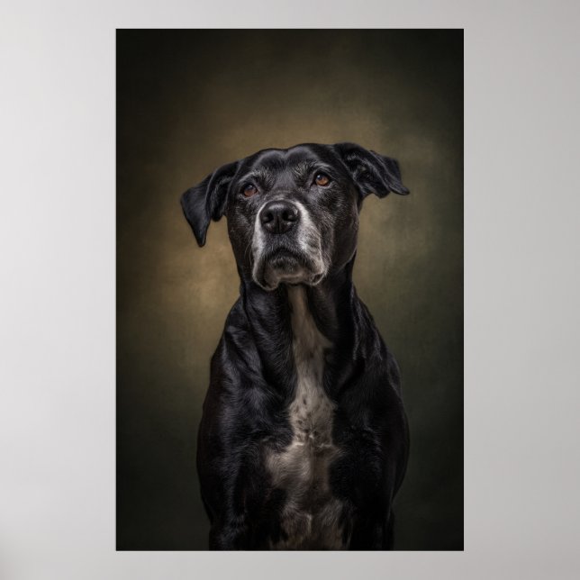 Elegant Dog Silhouette Poster (Front)