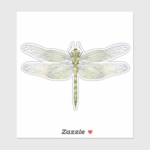 Elegant Dragonfly drawing 