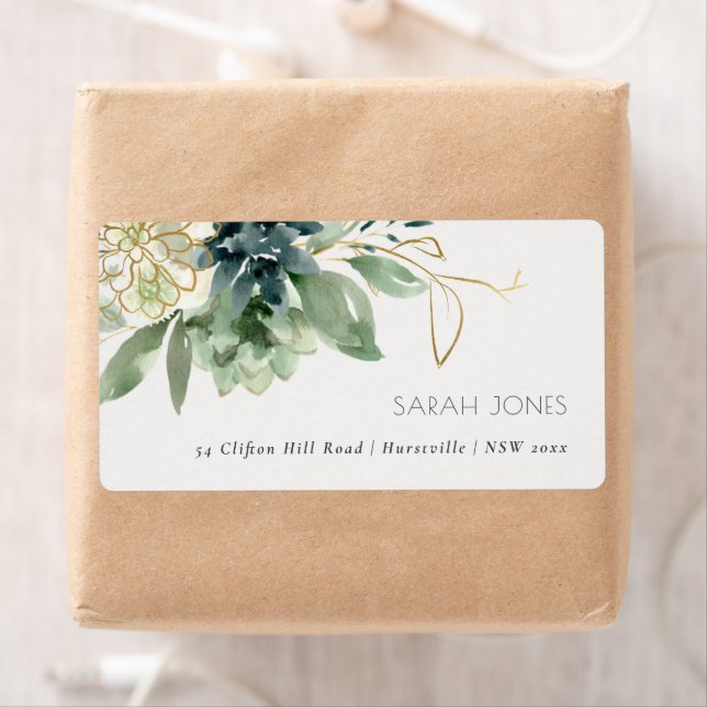 Elegant Dusky Blue Green Succulent Foliage Address (Insitu)