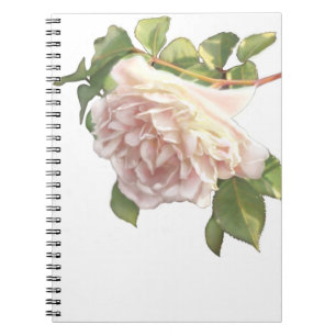 Elegant dusty peachy orange white floral rose notebook