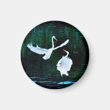 Elegant Egrets In Dance