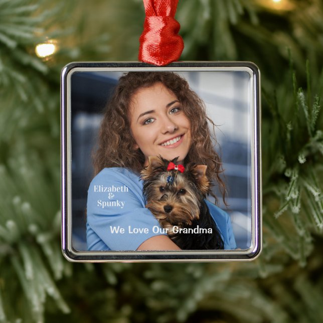 Elegant Family Pet Photo Christmas Personalize Metal Ornament (Tree)