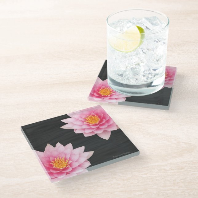Elegant Floating Pink Lotus Flowers Glass Coaster (Angled)