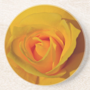 Elegant floral flower Yellow Rose Coaster