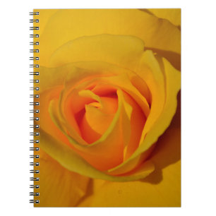 Elegant floral flower Yellow Rose Notebook