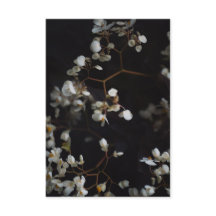 Elegant floral photo and custom name